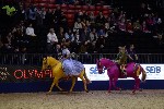 Quadrille - 00412